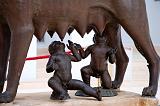 Statue of Capitoline Wolf with Romolo and Remo, Rome, Italy